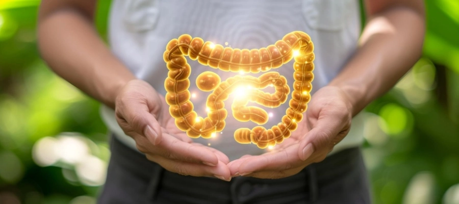 Imagem do post O que é flora intestinal? Função e como mantê-la saudável